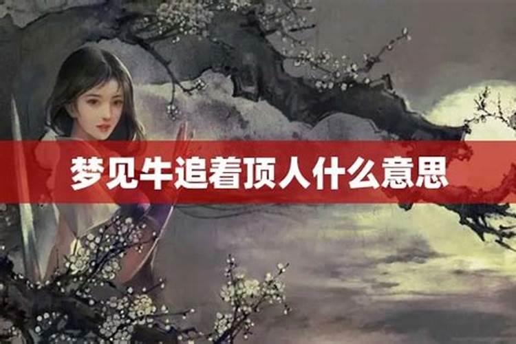 梦见牛顶我是什么意思？