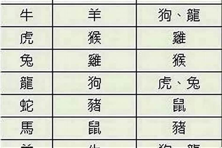 双子男和双子女配吗合适吗爱情结局怎么样