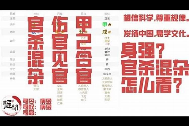 84年2025年属鼠人的全年运势