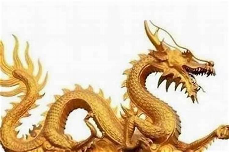 属鸡的多大了岁数表