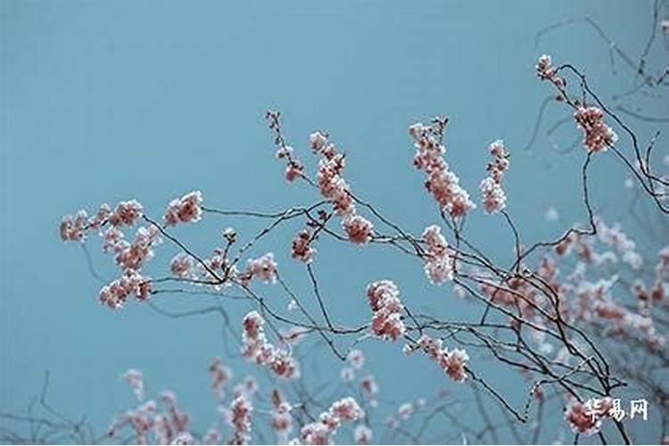 破驳婚煞后三天内注意什么化解驳婚煞的土方法