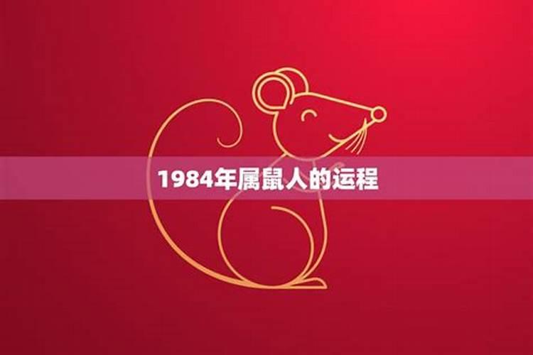 1984鼠女的命运