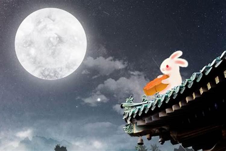 属兔人在哪些年份不好