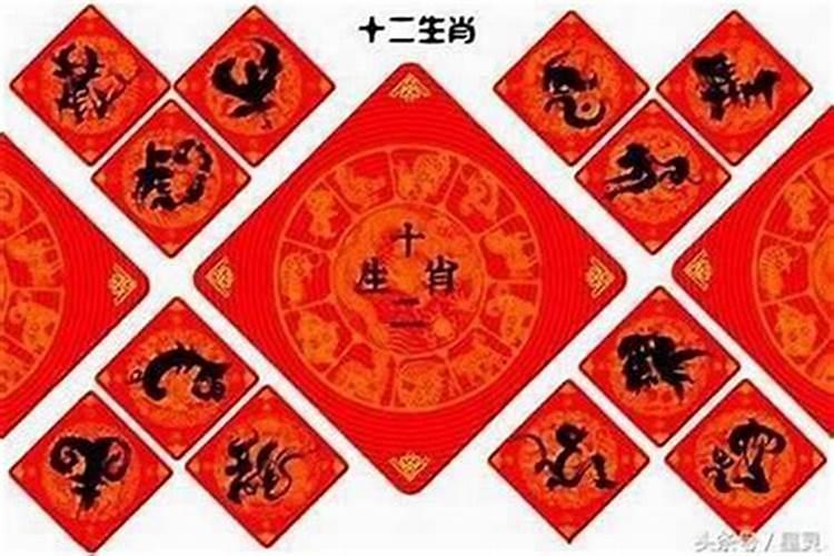 属兔的女人和什么属相最不配