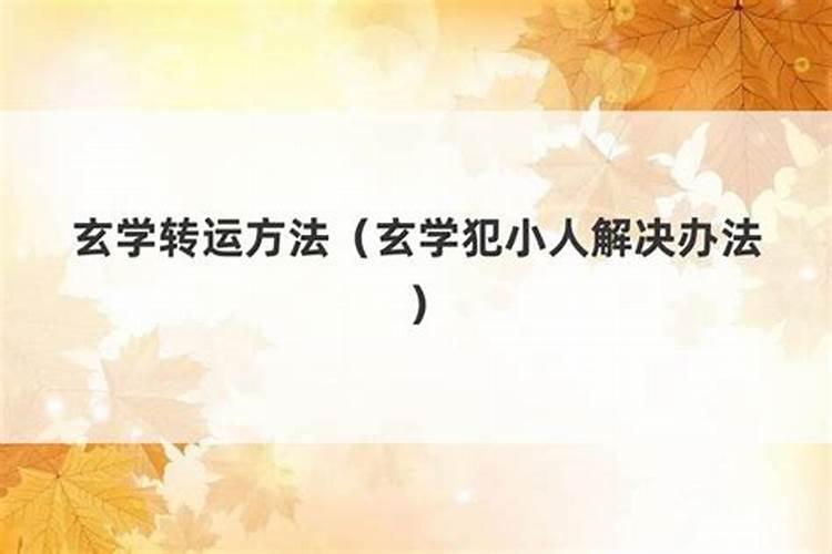 2025属狗犯太岁吗 属狗人2025年综合运势