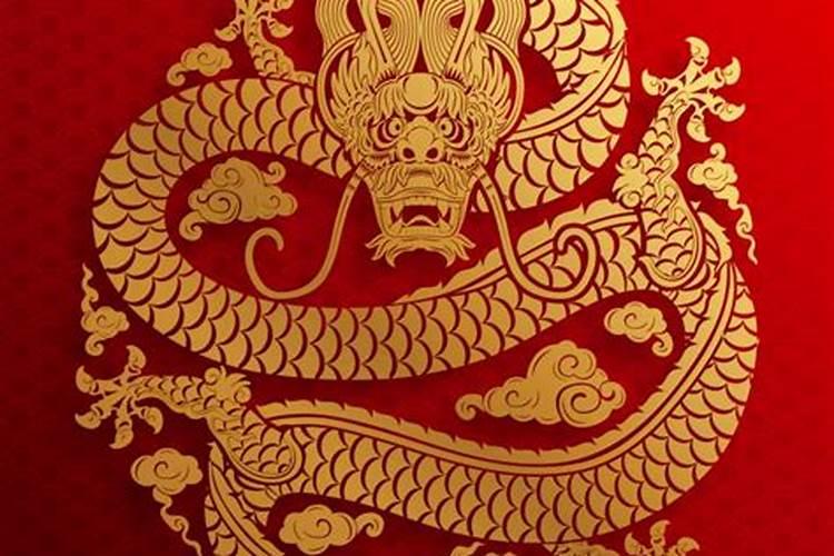 女龙配什么属相最好