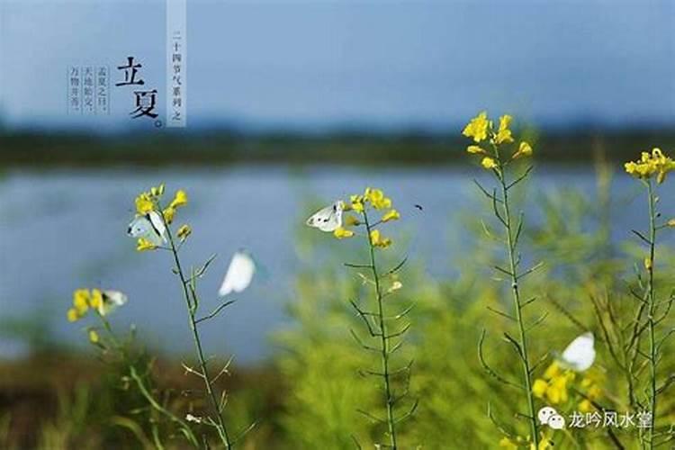 如果想烧纸钱给先人,可是离他的墓地太远了,如果不去墓地烧,还有什么办 ...