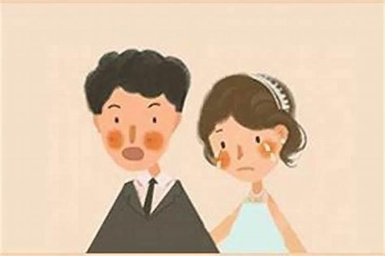 同属相同年婚配好吗,属相婚配,同年男女猪能结婚吗