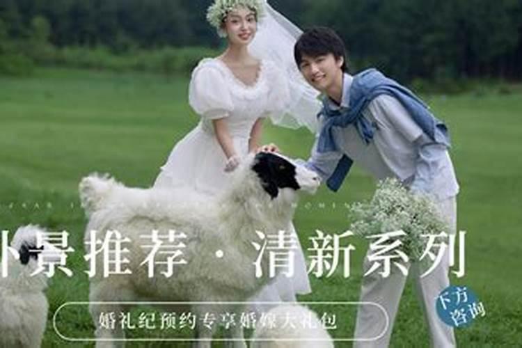 适合属鸡人长期佩戴的吉祥物适合属鸡人佩戴的物件有哪些