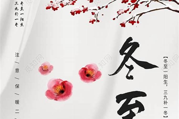 2024年12月15日出生的宝宝五行