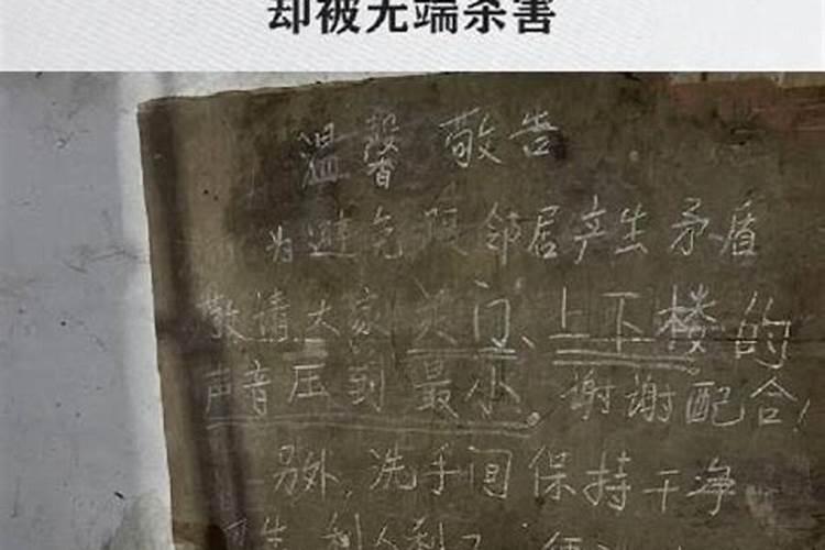 台州一男子杀妻后抛尸窨井,该案件最新进展如何？