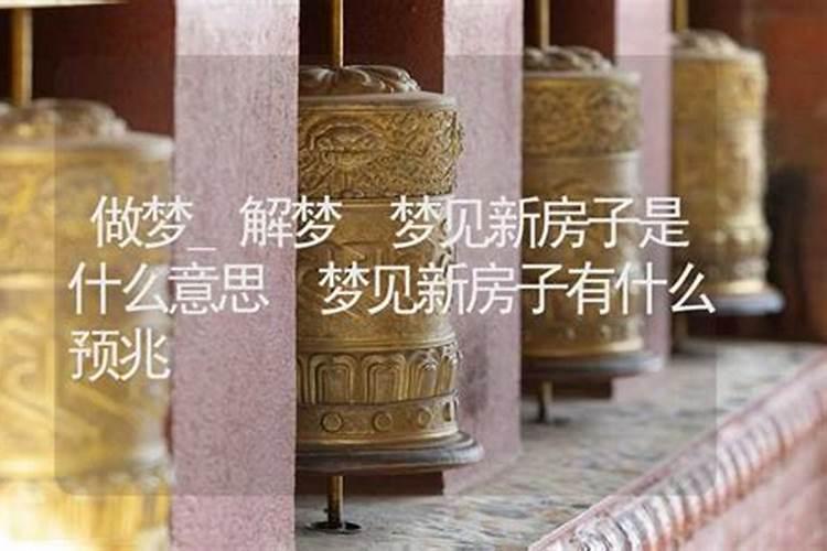怎样看八字