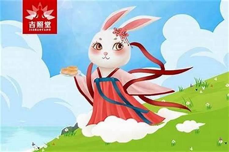 属兔的人今年会走运吗？