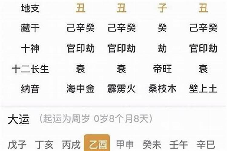 戊寅年乙丑月命理五行,戊寅年是什么命