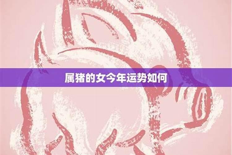日柱辛卯女命的详解