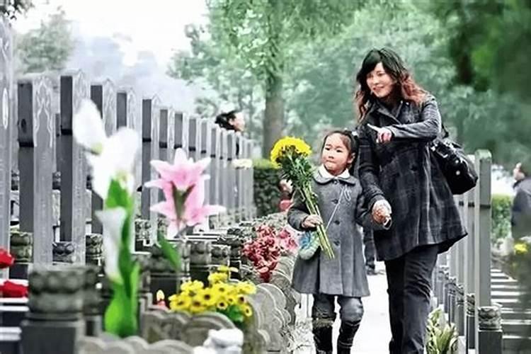 生肖羊2025年运势 属羊2025年运势及运程