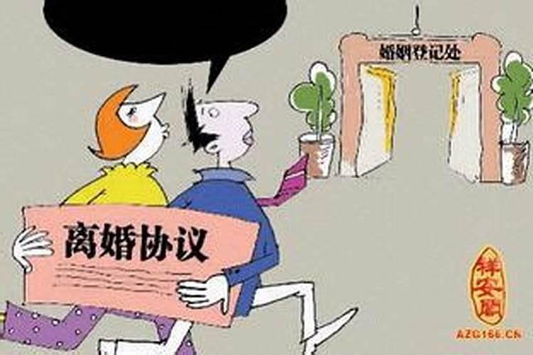 属兔人2025年运势