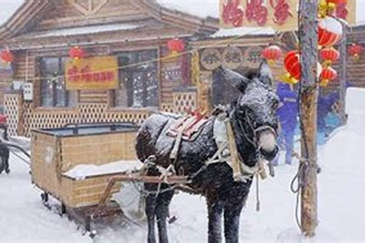感觉运气不好怎么调整 如下五个方法可以调整运气