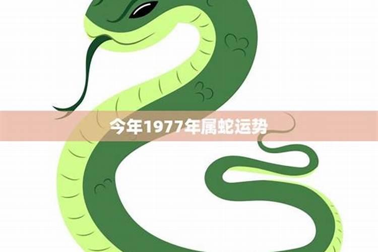 1958年春节几月几日