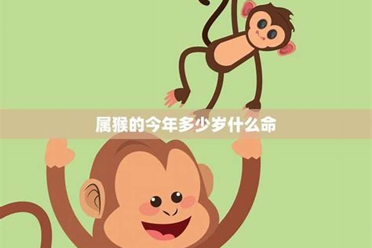 易本命年东西是真的么