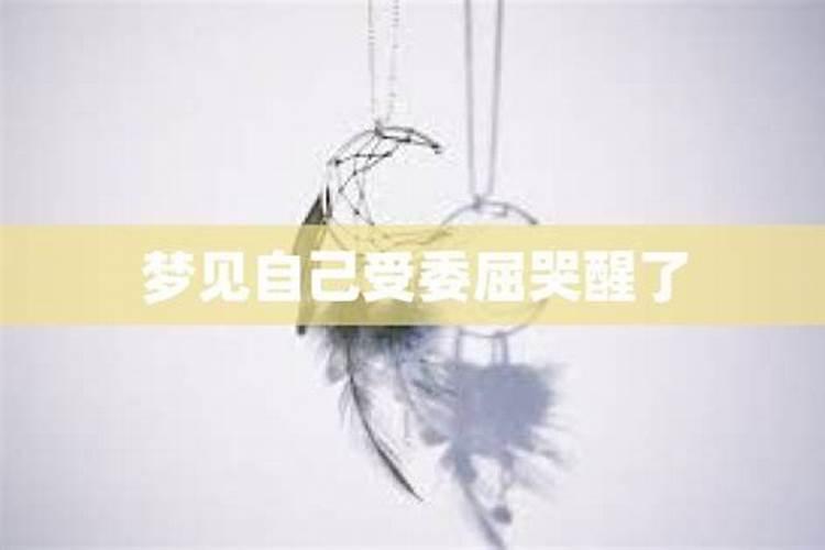 71年属猪人未来十年运势走向2024