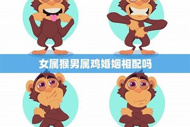 2025年属鸡男的正缘是谁