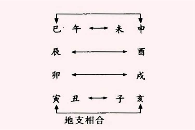 地支六个合化什么
