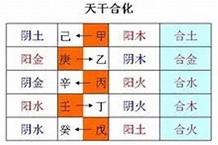 地支地支作用