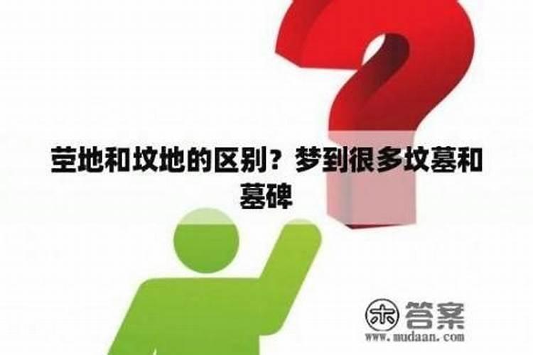 梦见墓碑和坟地是什么预兆