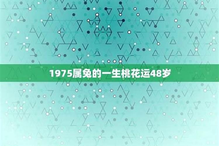 75年属兔人2025年全年运势