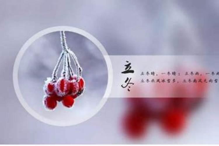 25年哪些属相犯太岁