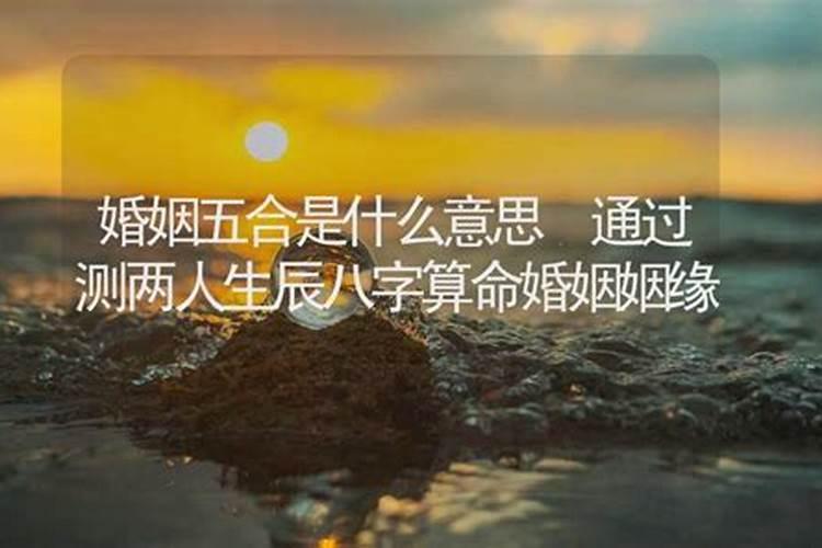 属猪2025年犯太岁怎么化解