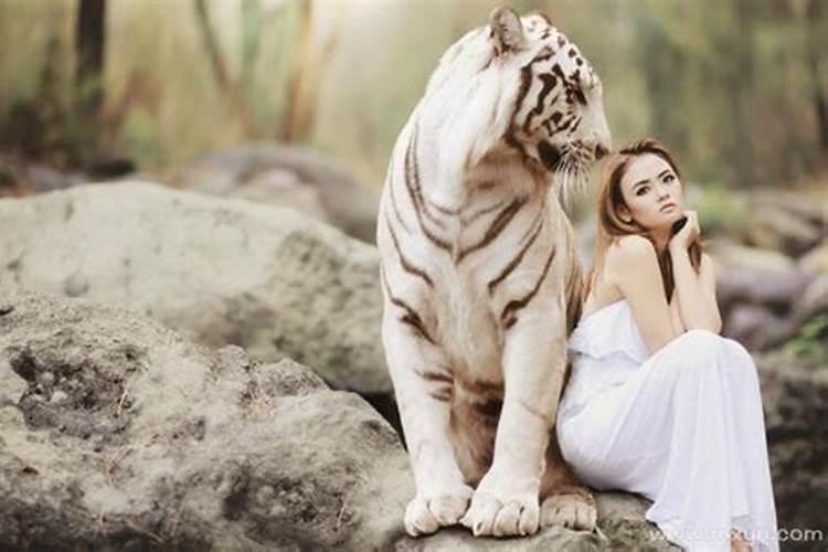 禹猪的命运和姻缘如何