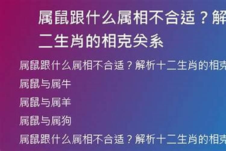 2025年犯太岁是哪几个