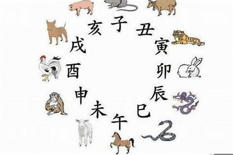属虎人的各种运程属虎人的各种运程是什么