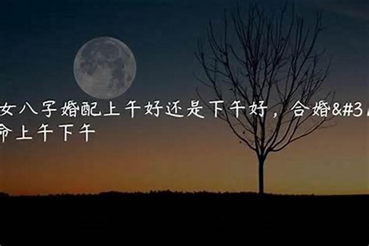冬至的来历和风俗 南北方不同的传统风俗