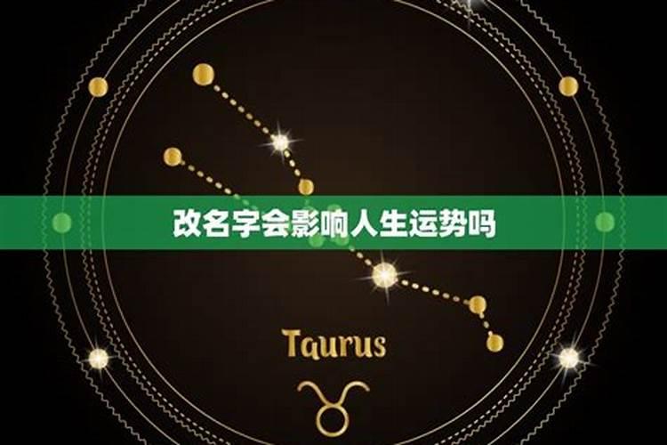 奥运会跳水项目一共有几枚金牌？