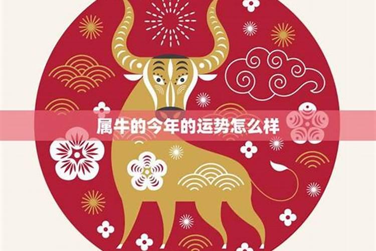 生肖牛1985年2025年运势如何 生肖牛1985年2025年全年运势