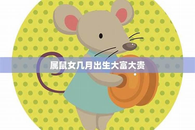 属鼠的几月出生最好