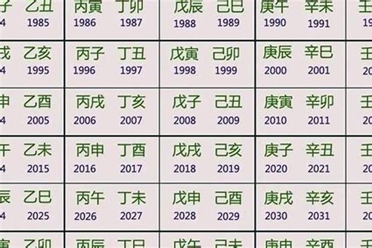 虎宝宝算命 2022年冬至出生的人好吗 五行缺什么？
