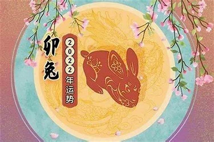 属兔2025年运势及运程1987年的兔