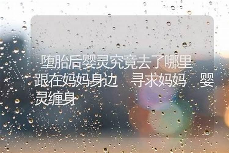 董易奇十二生肖2025运程
