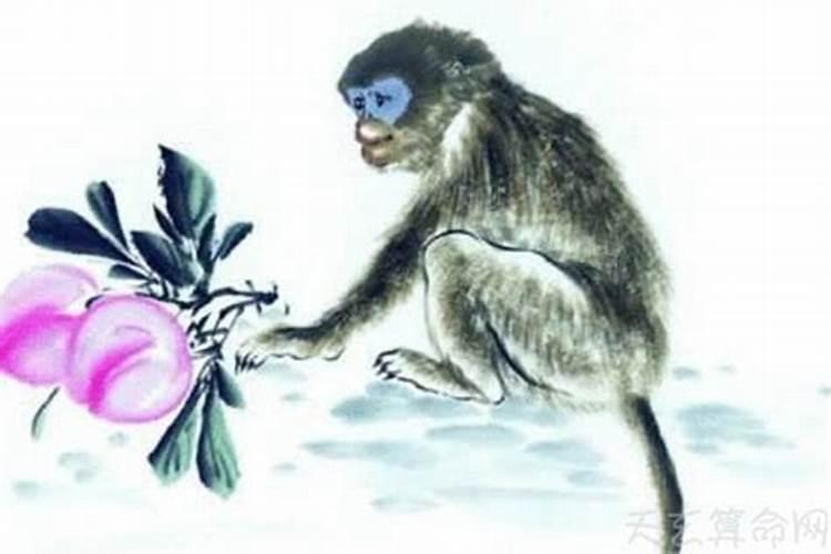 属虎人2025全年运势详解 属虎人2025年每月运势