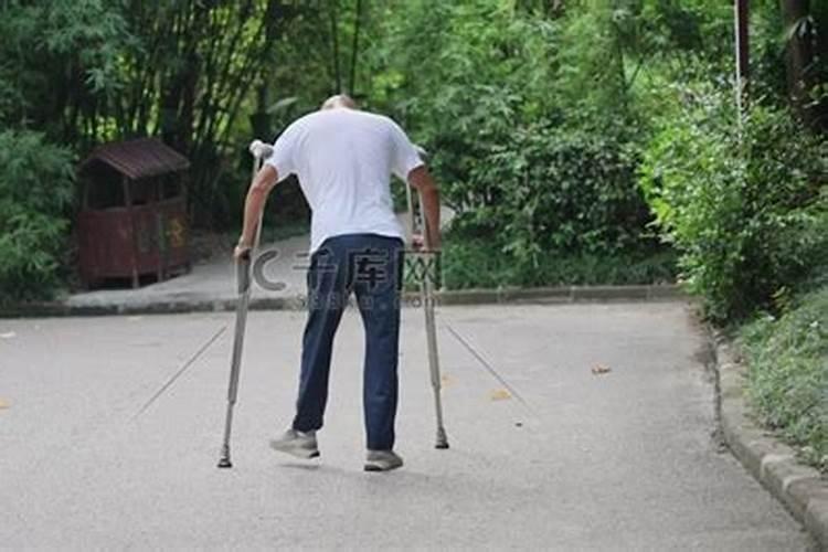 十二生肖不怕冷的动物哪个不怕冷？