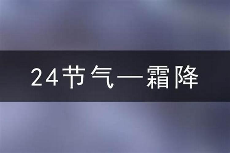 1982年属狗女士[43岁]2025年情感运势大揭秘,婚姻发展如何？
