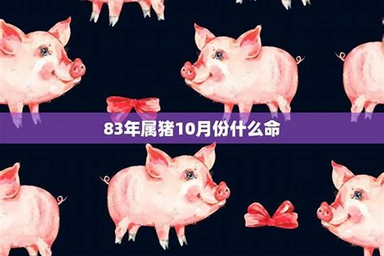 83年属猪人2025年以后大运如何