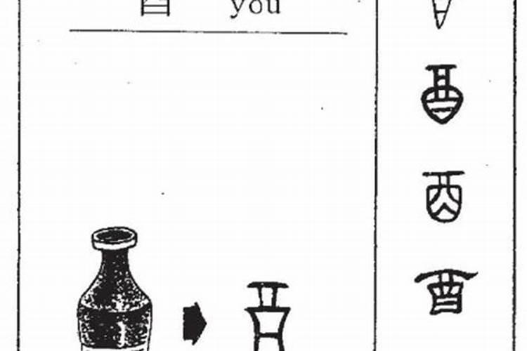 酉字旁的字有哪些