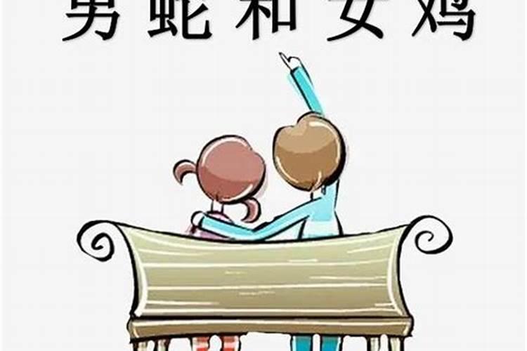 男蛇女鸡婚姻是否相配