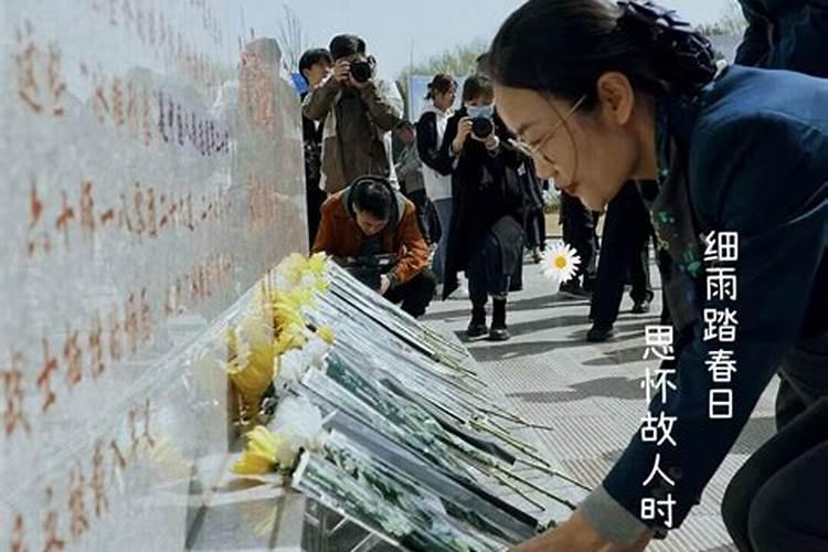 属蛇人2025年本命年永远最旺的颜色