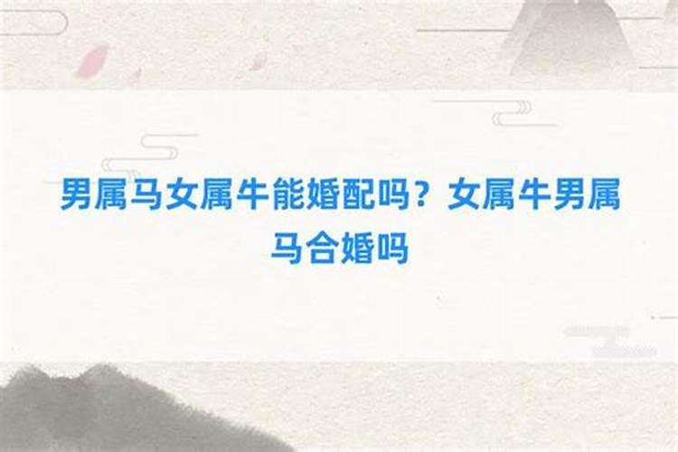 八字硬 八字硬的意思